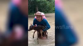 Animals carried to safety by locals as deadly flooding hits Thailand