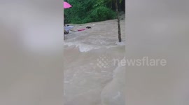 Heartwarming moment pet dog washed away by floods is rescued by locals