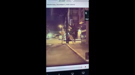 Stone thrown at park Tesla
