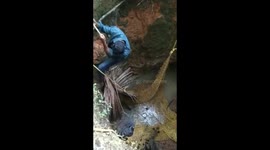 Deer rescued from well in India in joint rescue effort by officials and locals