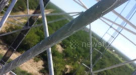 US man scales cell tower to rescue tiny bat that became stuck