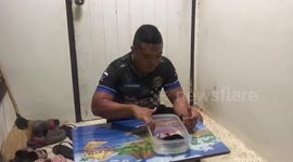 Rare two-headed snake found by fisherman in Thailand
