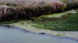 Chinese firefighters rescue drowning woman after using thermal imaging drone to locate her