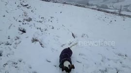 Watch as dog plays in the first snow of winter to cover the Pennines in West Yorkshire, England