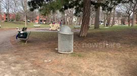 Squirrel eating napkin out of trash