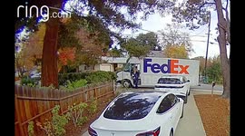 FedEx delivery woman dropped and damaged my Wife's holiday gift.