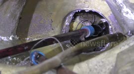 King cobra caught hiding inside temple's gold Buddha statue