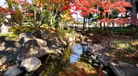 Autumn Beauty Of A Japanese Garden: Otaguro Park, Tokyo Japan