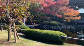 Autumn Beauty Of A Japanese Garden: Otaguro Park, Tokyo Japan