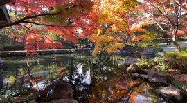 Autumn Beauty Of A Japanese Garden: Otaguro Park, Tokyo Japan