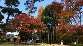 Autumn Beauty Of A Japanese Garden: Otaguro Park, Tokyo Japan