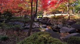 Autumn Beauty Of A Japanese Garden: Otaguro Park, Tokyo Japan