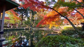 Autumn Beauty Of A Japanese Garden: Otaguro Park, Tokyo Japan