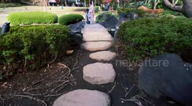 Autumn Beauty Of A Japanese Garden: Otaguro Park, Tokyo Japan