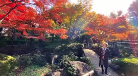 Autumn Beauty Of A Japanese Garden: Otaguro Park, Tokyo Japan