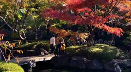 Autumn Beauty Of A Japanese Garden: Otaguro Park, Tokyo Japan