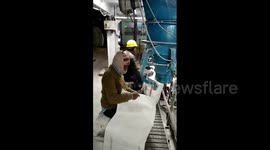 How sugar is made at factory in east India