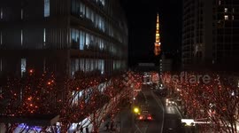 Time Lapse: Tokyo Tower and Christmas Lights in Tokyo