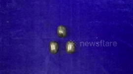 Indian customs officials seize gold worth $ 48100 at Chennai International Airport