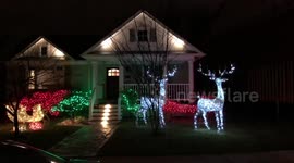 Larger than life Reindeer Lights