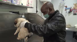 LONELY’s story – A puppy rescued from a water pit