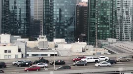 US: Caravan Protest Supporting Indian Farmers Causes Traffic Delays On Bay Bridge