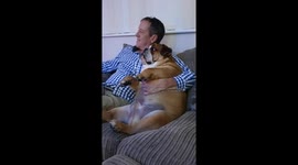 British Bulldog watching the muppets with dad