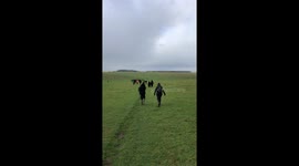 XR Stonehenge