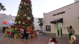 Children and adults take photos of the new Christmas tree in the center of Hermosillo, Mexico. Christmas lights