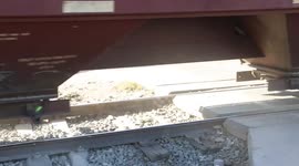 Passage of train and wagons on the tracks. Ferromex railway. Mexican railways as they pass through San Pedro el Saucito, Sonora, Mexico. Transportation, communications