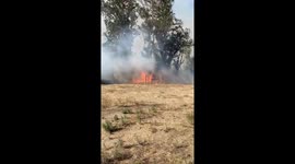 #BreakingNews #CornellFire https://t.co/mHx59orBzT