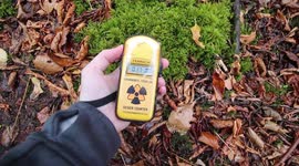 US man takes an eerie tour of abandoned Chernobyl exclusion zone with Geiger counter