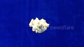 Gold worth $20335 seized from passenger at southern Indian airport