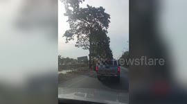 Furious Thai builder attacks cars with excavator after boss 'refused to let him have a day off'