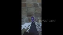 Italy: High Tide Causes Severe Flooding In Venice
