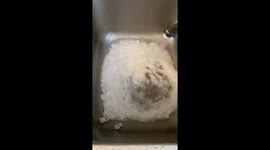 Watch this biodegradable packaging alternative satisfyingly dissolve in water