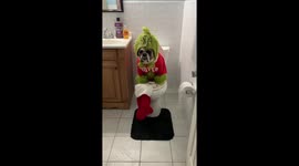 I don’t think that’s coal that the Grinch is putting in your stocking this year.