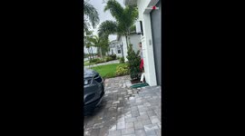 Girl Surprised Her Sister After Stay in NJ for 4 Months