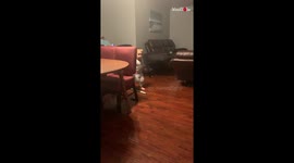 Cute Kid Slipped Fail Clip