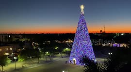 Massive 100-foot-tall Christmas tree in Florida lights up the pandemic darkness