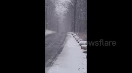 US: Special Weather Statement With Snow Issued For New York Metropolitan Area