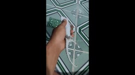 Gecko plays dead when Vietnamese man holds it in hand