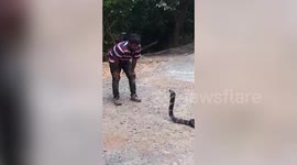 Longer Version: Rescued cobra released into forests of southern India