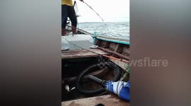 Fisherman accidentally catches turtle then releases it back to ocean