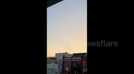 Saudi Arabia: Locust Swarms Invade In Makkah Al-Mukarramah