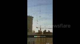 Saudi Arabia: Locust Swarms Invade In Makkah Al-Mukarramah 2