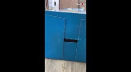 Pickle The Cat Paws at Pencil