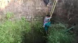 Pet cat stranded for over a day rescued from deep well in southern India