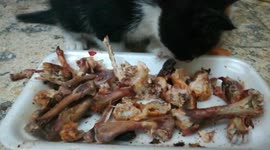 Yummy Yummy Fresh Roasted Bones
