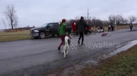 British Born Martin training as a Dog Musher in Canada